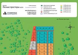 Лесные просторы лайт 