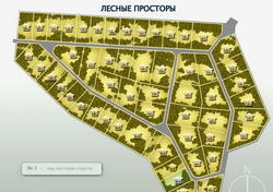 Лесные просторы